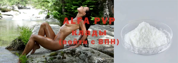 ПСИЛОЦИБИНОВЫЕ ГРИБЫ Белокуриха