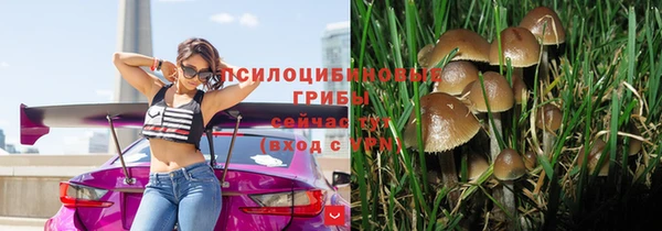 гашик Беломорск