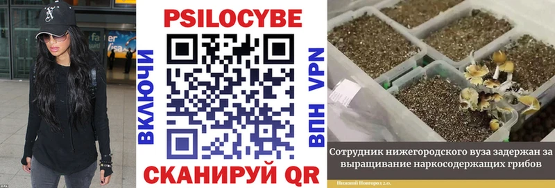 Купить где  Дудинка  Галлюциногенные грибы прущие грибы 